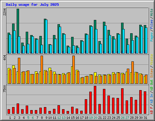 Daily usage for July 2025