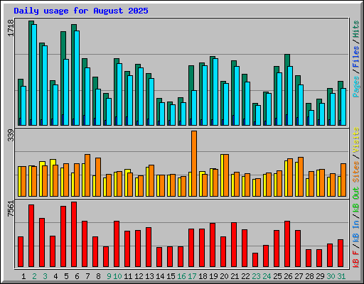 Daily usage for August 2025