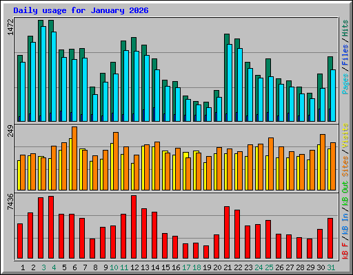 Daily usage for January 2026