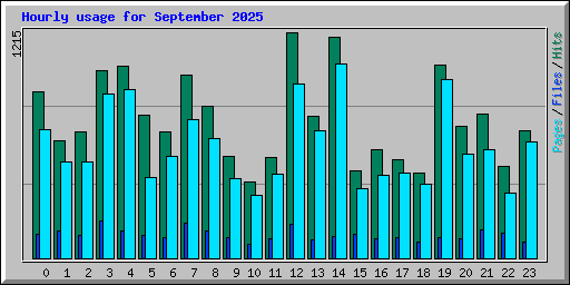 Hourly usage for September 2025
