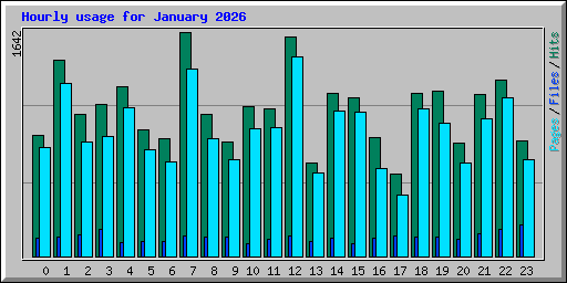 Hourly usage for January 2026