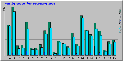 Hourly usage for February 2026